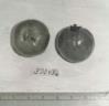 Click for 1 image(s) for this accession. FRUIT